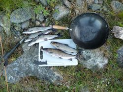 Finnische Fischsuppe 1
