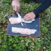 Filetiermesser - Forelle filetieren für Ceviche