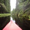 Kanutour Schweden Große Bergslagstour Värmland